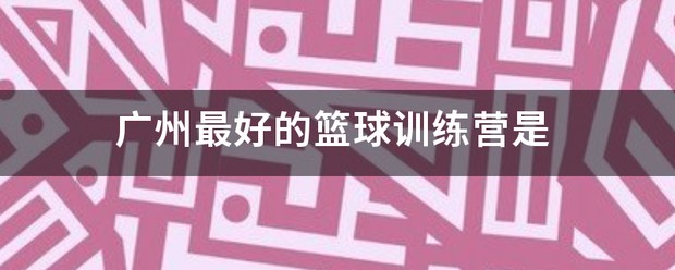 广州篮球训练营2025